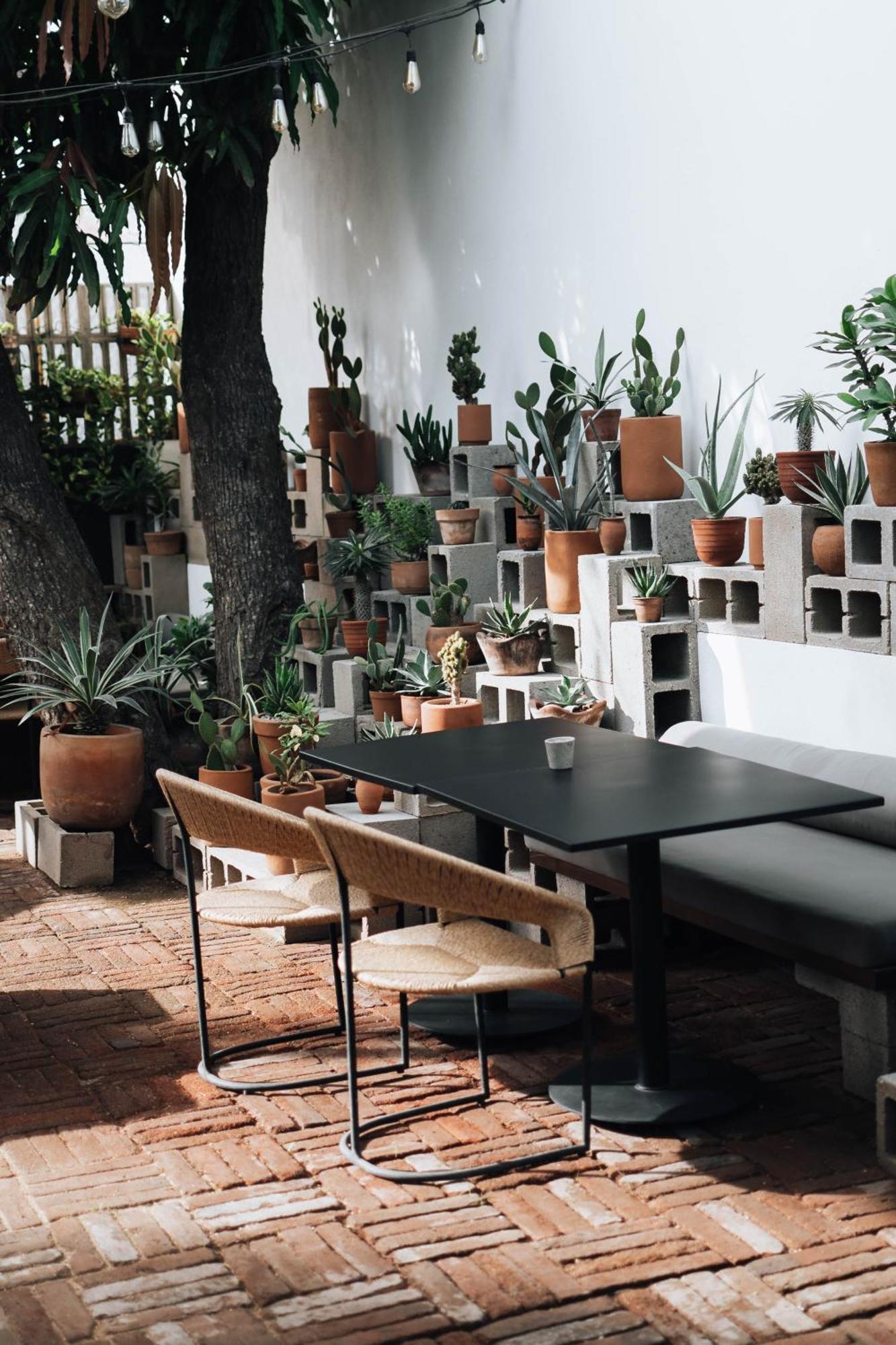 Drift San Jose Del Cabo, A Member Of Design Hotels Exterior photo